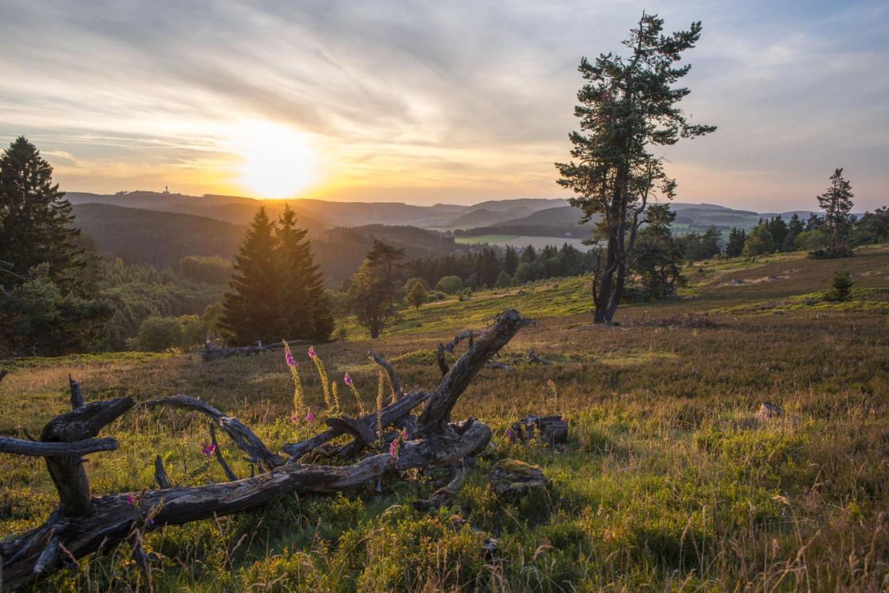 Fewo Poenblick Виллинген Экстерьер фото
